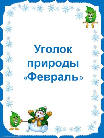 Уголок природы Февраль картотека по окружающему миру (младшая группа)