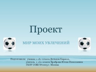 Проект Мир моих увлечений презентация к уроку (1 класс) по теме