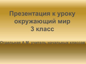 Презентация к уроку окружающий мир 3 класс презентация к уроку по окружающему миру (3 класс)