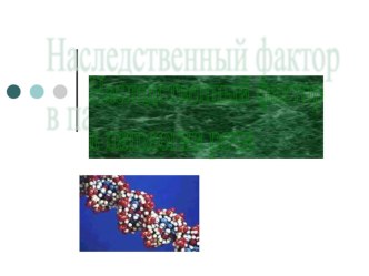 Наследственный фактор в паталогии речи. презентация к уроку