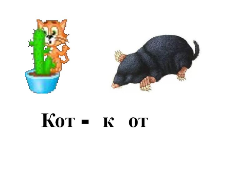 Кот - к от