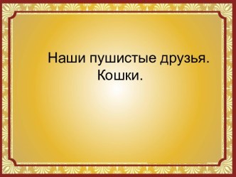 nashi pushistye druzya koshki 1425728793 27689