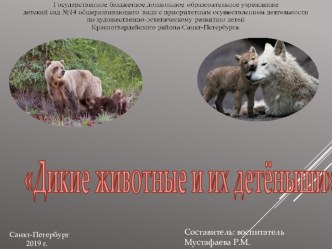 Дикие животные и их детёныши презентация к уроку по развитию речи (младшая группа)