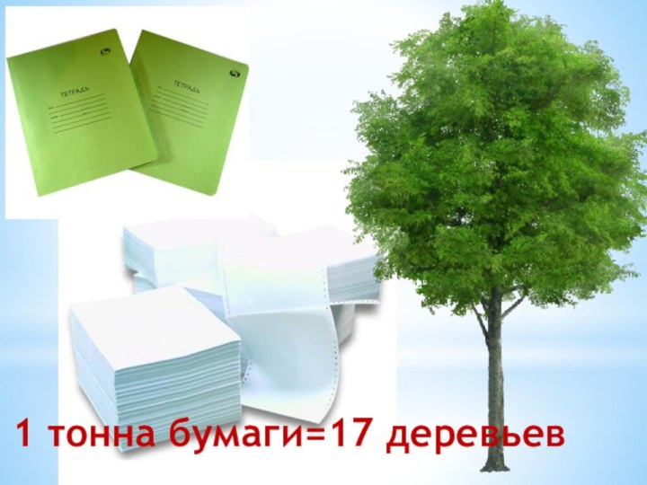 1 тонна бумаги=17 деревьев