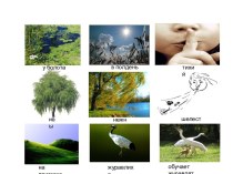 Мнемотаблица Перелетные птицы презентация для интерактивной доски по развитию речи
