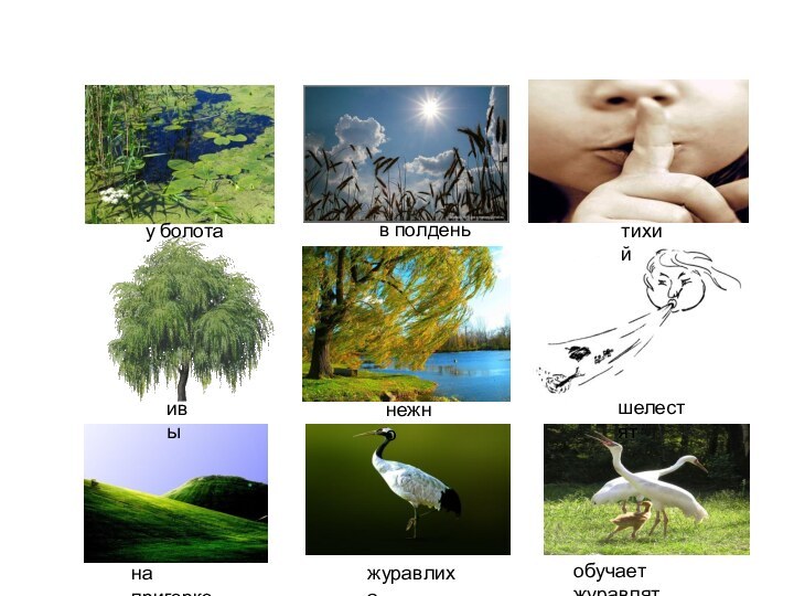 у болотав полденьтихийивынежношелестятна пригоркежуравлихаобучает журавлят