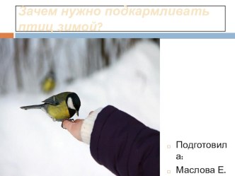 Зачем нужно подкармливать птиц зимой? презентация к уроку по окружающему миру (средняя, старшая группа)