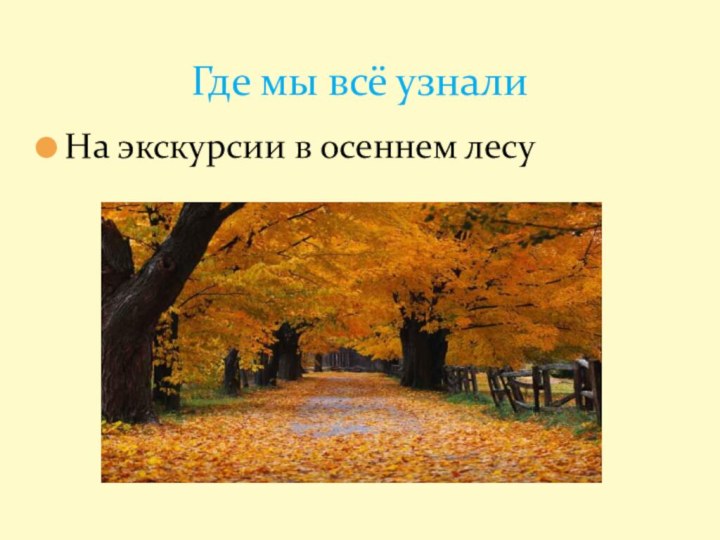 На экскурсии в осеннем лесуГде мы всё узнали