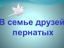 Урок окружающего мира В семье друзей пернатых презентация к уроку по окружающему миру (2 класс) по теме