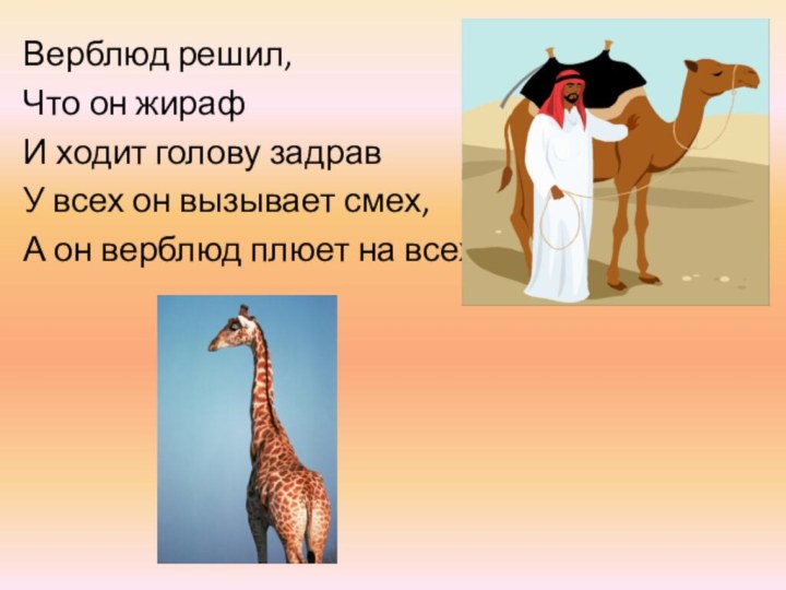 Верблюд решил,Что он жираф И ходит голову задравУ всех он вызывает смех,А