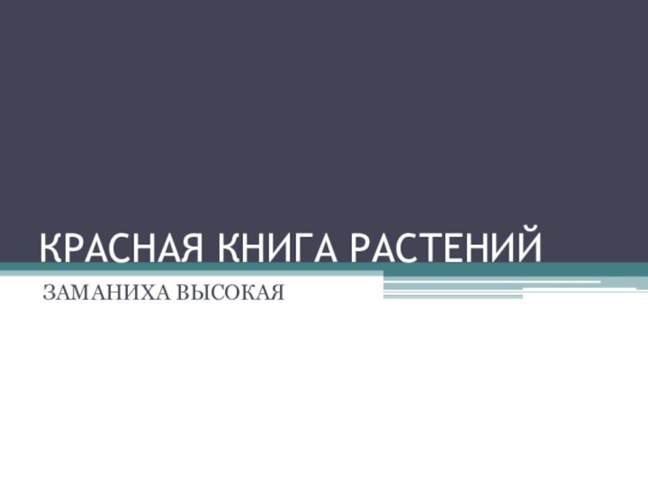 КРАСНАЯ КНИГА РАСТЕНИЙЗАМАНИХА ВЫСОКАЯ