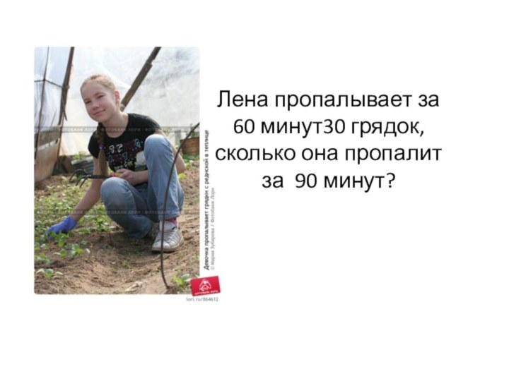 Лена пропалывает за 60 минут30 грядок, сколько она пропалит за 90 минут?