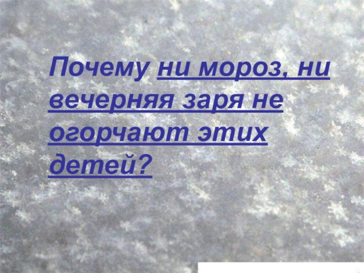 Почему ни мороз, ни вечерняя заря не огорчают этих детей?