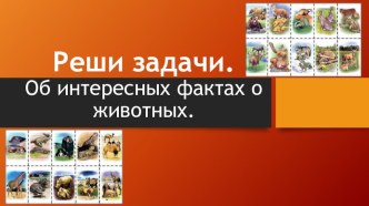 презентация к уроку математика Реши задачи. Об интересных фактах о животных. презентация урока для интерактивной доски по математике (3 класс)