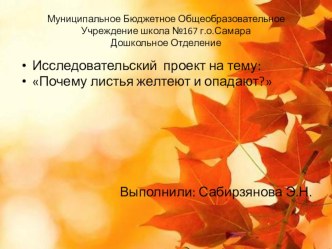 Исследовательский проект : Почему листья желтеют и опадают? презентация к уроку по окружающему миру (старшая группа)