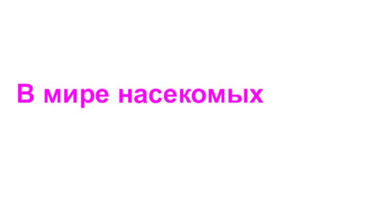 В мире насекомых