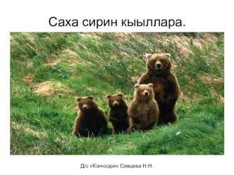 Дикие животные Якутии учебно-методическое пособие (старшая группа)