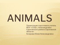 Загадки о животных презентация к уроку по иностранному языку (2 класс) по теме