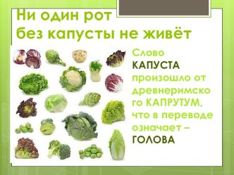 Капуста презентация к уроку по окружающему миру (3 класс) по теме