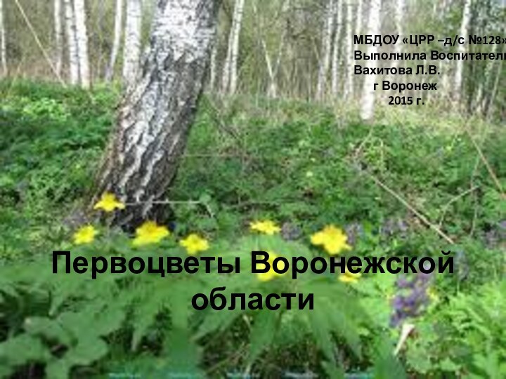 Первоцветы Воронежской областиМБДОУ «ЦРР –д/с №128»Выполнила Воспитатель ВКК:Вахитова Л.В.