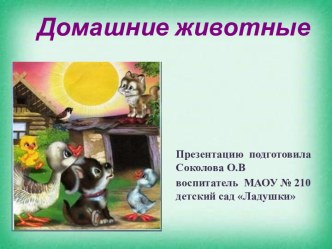 Презентация Домашние животные для детей раннего возраста. презентация к уроку (младшая группа)