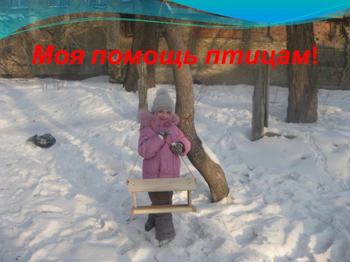 Моя помощь птицам!