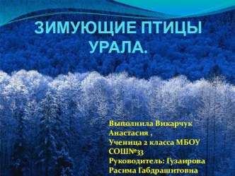 презентация по теме Зимующие птицы Урала презентация по окружающему миру по теме