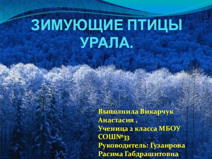 ЗИМУЮЩИЕ ПТИЦЫ УРАЛА.Выполнила Викарчук Анастасия ,Ученица 2 класса МБОУ СОШ№33Руководитель: Гузаирова Расима Габдрашитовна