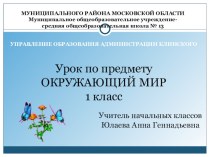 Открытый урок: Как путешествует письмо презентация к уроку по окружающему миру (1 класс)