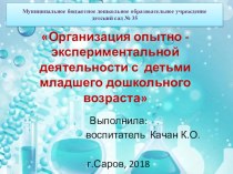 Организация опытно -экспериментальной деятельности с детьми младшего дошкольного возраста презентация к уроку (младшая группа)