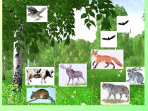 Животные леса презентация к уроку по окружающему миру (1 класс)