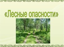 Лесные опасности презентация