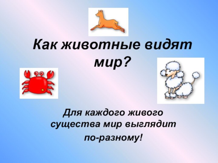 Как животные видят мир?Для каждого живого существа мир выглядит по-разному!