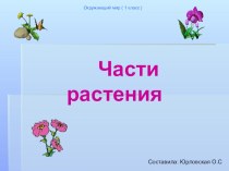 Части растений 1 класс УМК Школа России презентация к уроку по окружающему миру (1 класс) по теме