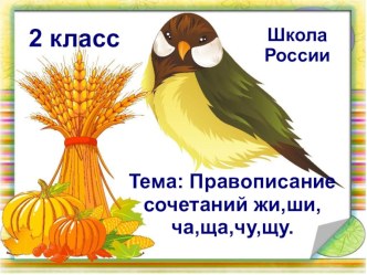 Презентация к уроку: Правописание слов с сочетаниями жи,ши,ча,ща,чу,щу. презентация к уроку по русскому языку (2 класс) по теме