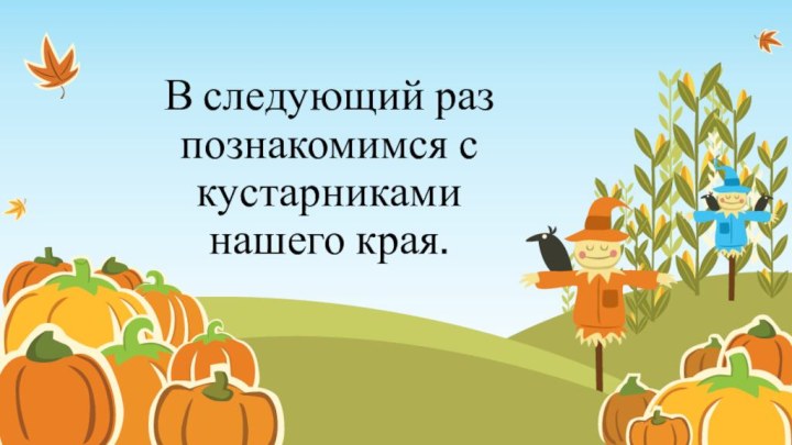 В следующий раз познакомимся с кустарниками нашего края.