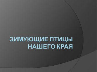 Занятие по экологии в старшей группе Ёлочка для птиц. презентация к занятию по окружающему миру (старшая группа)