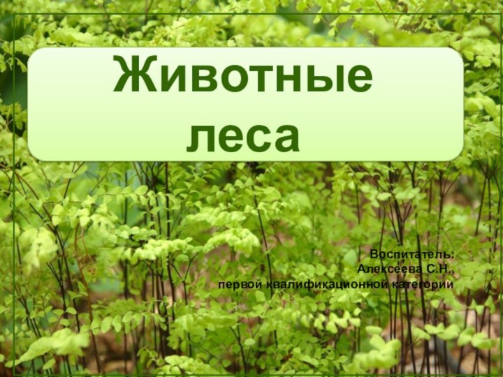 Животные лесаВоспитатель:Алексеева С.Н.,первой квалификационной категории