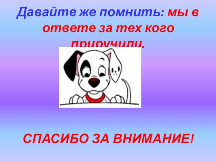 Давайте же помнить: мы в ответе за тех кого приручили.