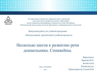 Несколько шагов к развитию речи дошкольника. Синквейны. методическая разработка по развитию речи