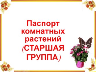 Комнатные цветы ( Старшая группа). презентация к уроку по окружающему миру (старшая группа)