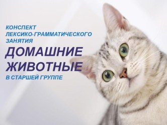 презентация 1