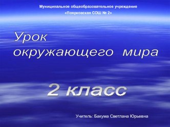 Урок окружающего мира во 2 классе Про воздух методическая разработка (окружающий мир, 2 класс) по теме