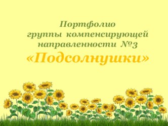 Портфолио Группы компенсирующей направленности №3 Подсолнушки МБДОУ Большеелховский детский сад №1 комбинированного вида презентация