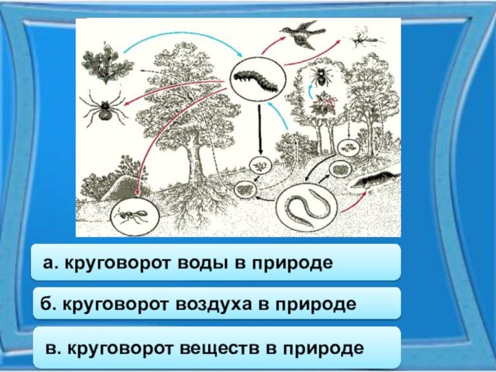 б. круговорот воздуха в природе а. круговорот воды в природе в. круговорот веществ в природе