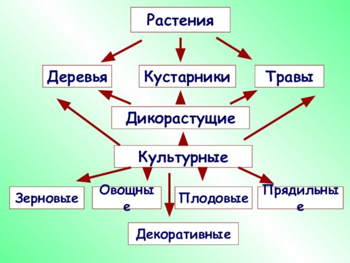 РастенияДеревьяТравыДикорастущиеКустарникиКультурныеЗерновыеПрядильныеПлодовыеОвощныеДекоративные