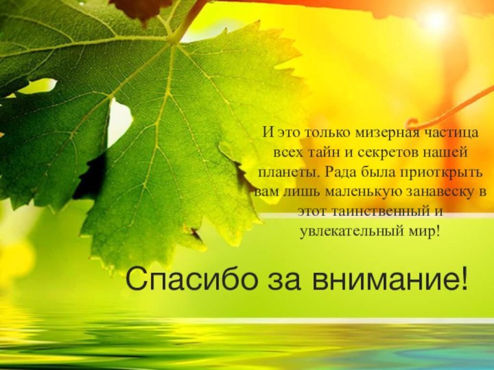 Спасибо за внимание!И это только мизерная частица всех тайн и секретов нашей