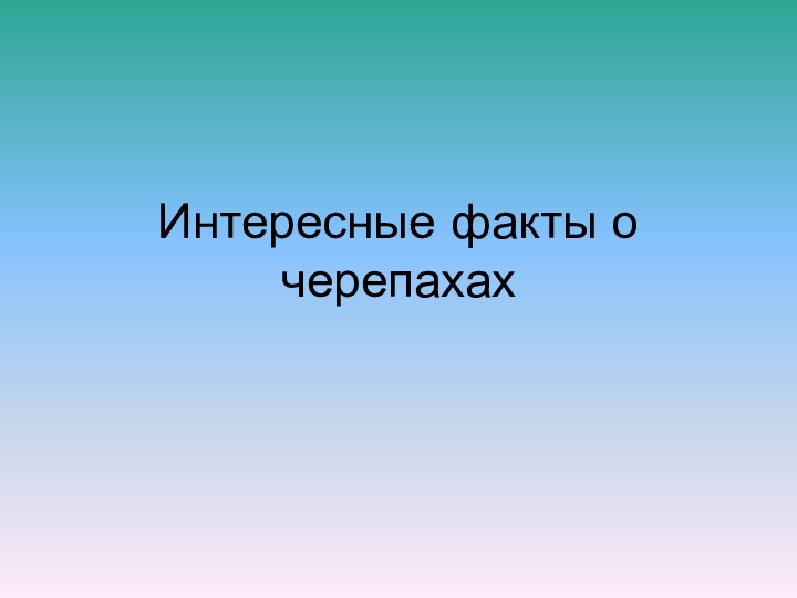 Интересные факты о черепахах