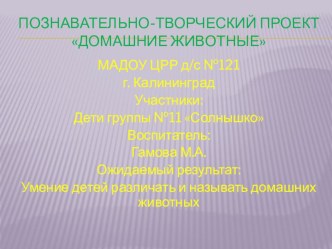 poznavatelno-tvorcheskiy proekt