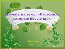 Проект : Растения, которые нас лечат. проект по окружающему миру (подготовительная группа)